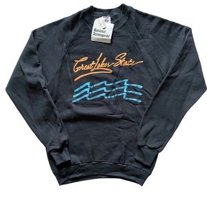 Vintage 80s Great Lakes State Michigan sweatshirt